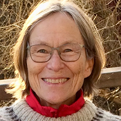 Sally Anderson, Lektor emerita hos Danmarks institut for Pædagogik og Uddannelse