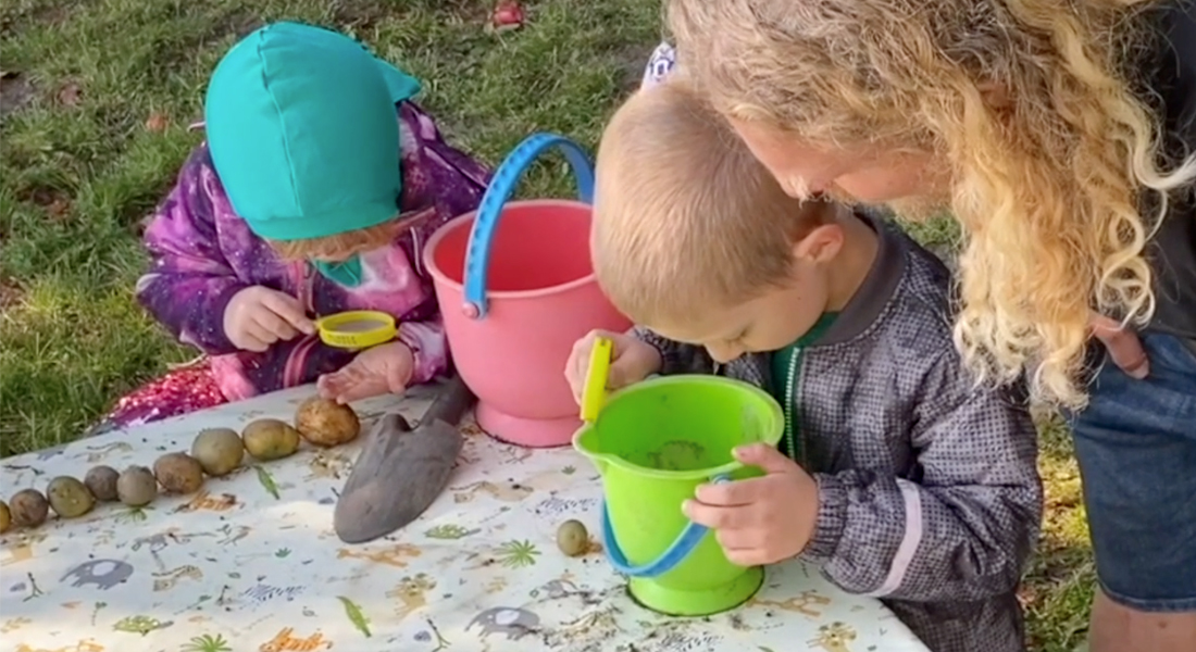 Børn undersøger kartofler