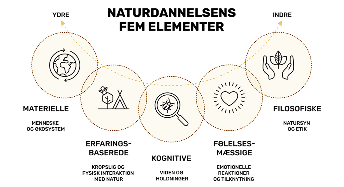 Figur: Naturdannelsens fem elementer